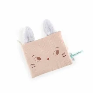 ALBUM PHOTO - APRES LA PLUIE - MOULIN ROTY