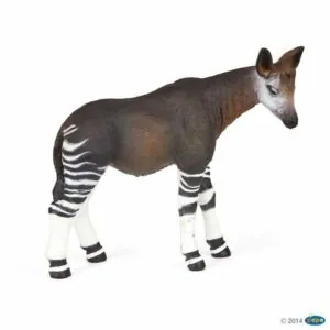 OKAPI - PAPO