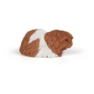 COCHON DINDE - PAPO