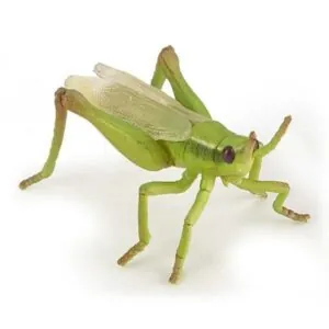 SAUTERELLE - PAPO