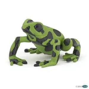 GRENOUILLE EQUATORIALE VERTE - PAPO