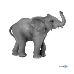 JEUNE ELEPHANT - PAPO