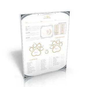 CATS!, LA MASCARADE - FEUILLES DE PERSONNAGE