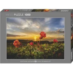 PUZZLE HEYE - A. VON HUMBOLDT : CLOUDBERRIES - 1000 PIECES