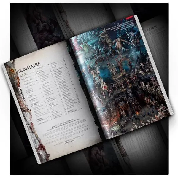 WARHAMMER AGE OF SIGMAR - TOME DE BATAILLE - BEASTS OF CHAOS