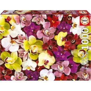 PUZZLE EDUCA : COLLAGE ORCHIDEES - 1000 PIECES