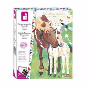 COFFRET PEINTURE AU NUMERO AQUARELLE CHEVAUX - JANOD