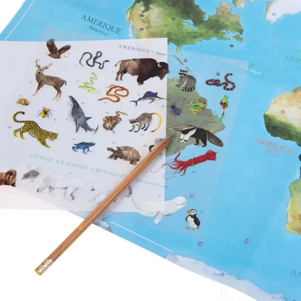 MAPPEMONDE AVEC DECALCOMANIES - MOULIN ROTY – Image 5