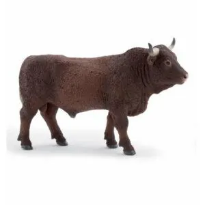 TAUREAU SALERS - PAPO