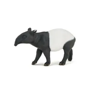 TAPIR - PAPO