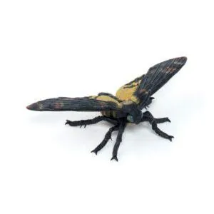 PAPILLON DE NUIT - PAPO
