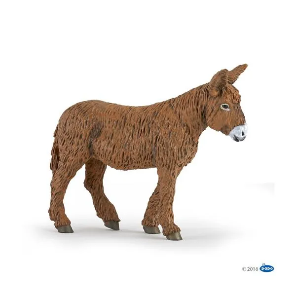 BAUDET DU POITOU - PAPO