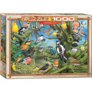 PUZZLE EUROGRAPHICS : OISEAUX DE JARDIN - 1000 PIECES