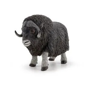 BOEUF MUSQUE - PAPO
