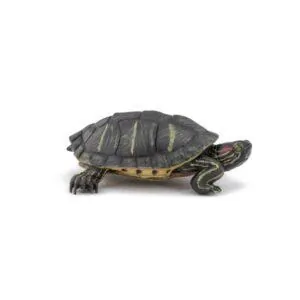 TORTUE DE FLORIDE - PAPO