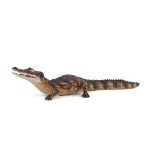CAIMAN - PAPO