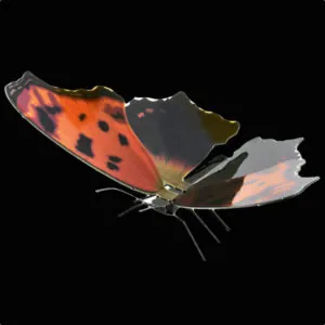 METAL EARTH - DIVERS - PAPILLON POLYGONE VIRGULE