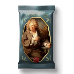 LA COUR DE VERSAILLES