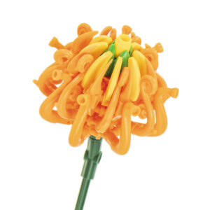 CHRYSANTHÈME