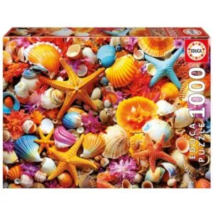 PUZZLE EDUCA : COLLAGE COQUILLAGES - 1000 PIECES