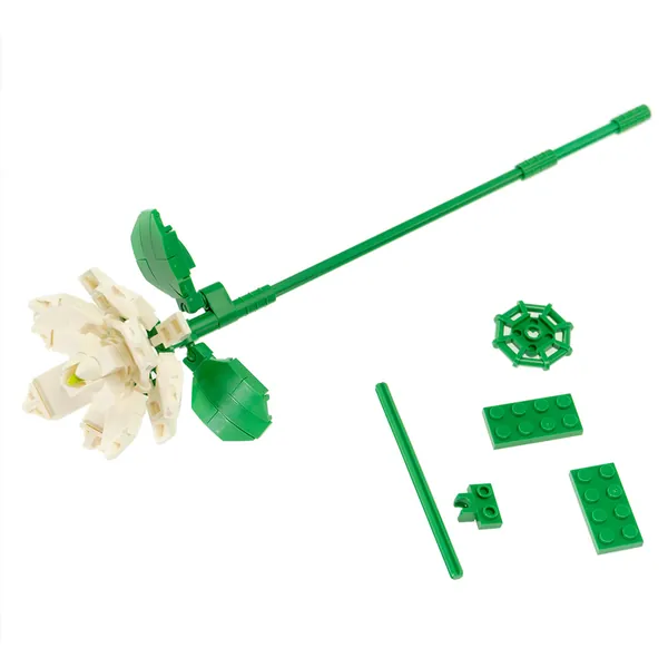 JASMIN