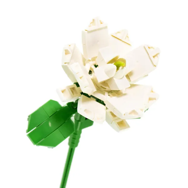JASMIN
