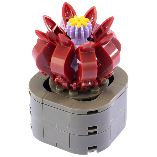 STAPELA FLAVIROSTRIS