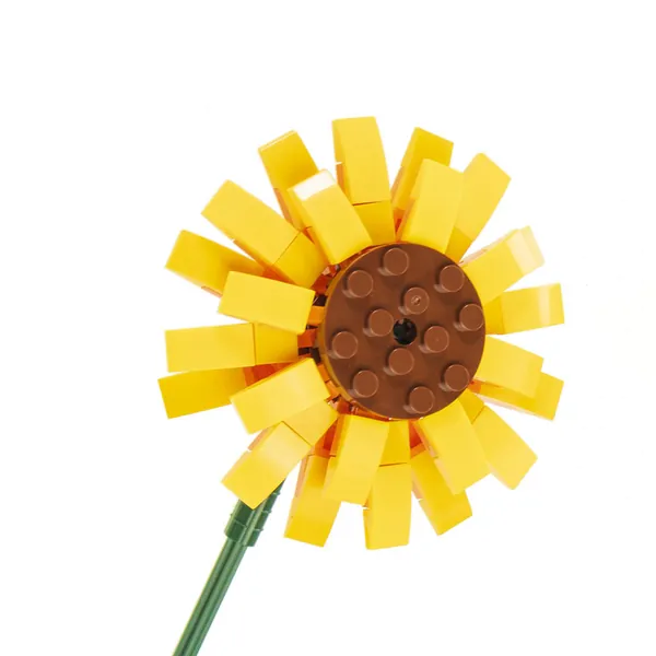 TOURNESOL