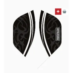 ailettes-pentathlon-standard-blanche-3