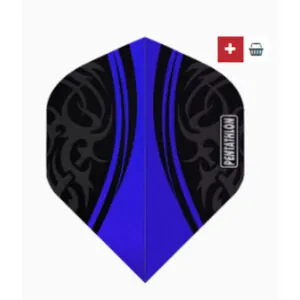 ailettes-pentathlon-standard-bleue-3