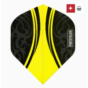 ailettes-pentathlon-standard-jaune-3