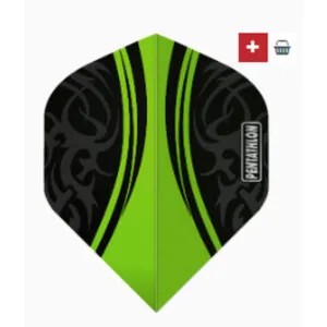 ailettes-pentathlon-standard-verte-3