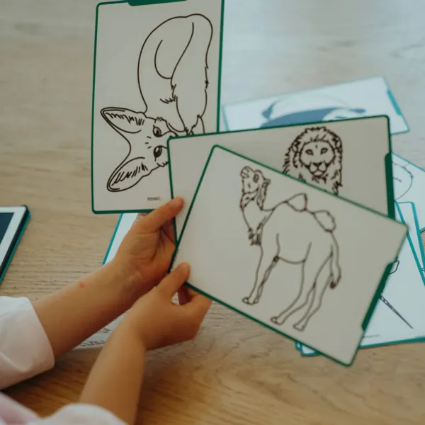 KIDYDRAW - MINI TABLETTE A DESSIN ANIMALS AROUND THE WORLD - KIDYWOLF – Image 3
