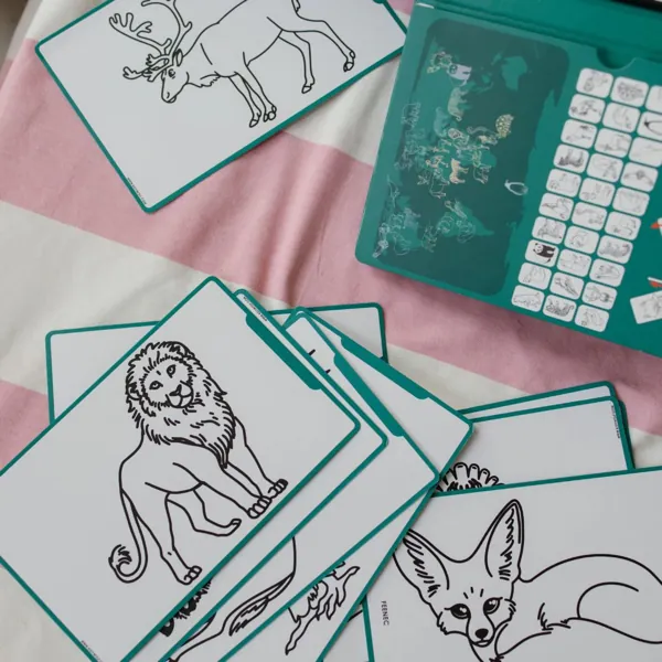 KIDYDRAW - MINI TABLETTE A DESSIN ANIMALS AROUND THE WORLD - KIDYWOLF – Image 2