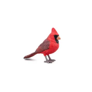 CARDINAL - PAPO
