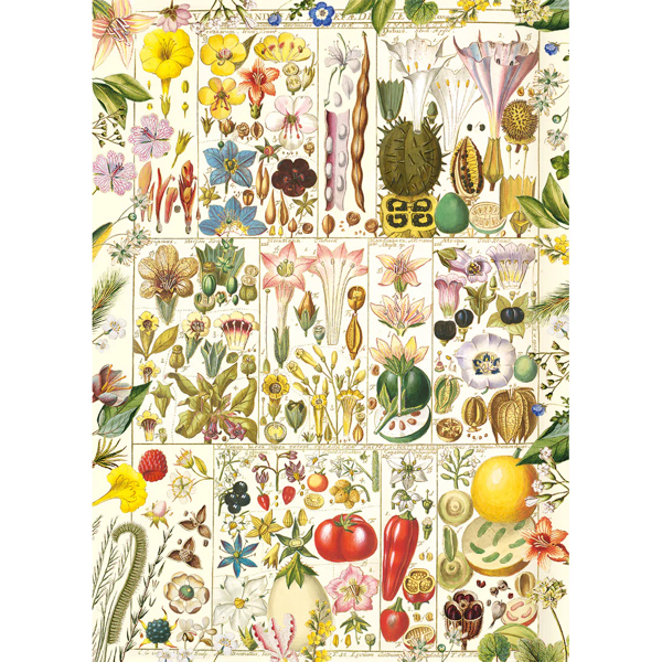 PUZZLE GIBSONS : BOTANICAL BLISS - 1000 PIECES – Image 4