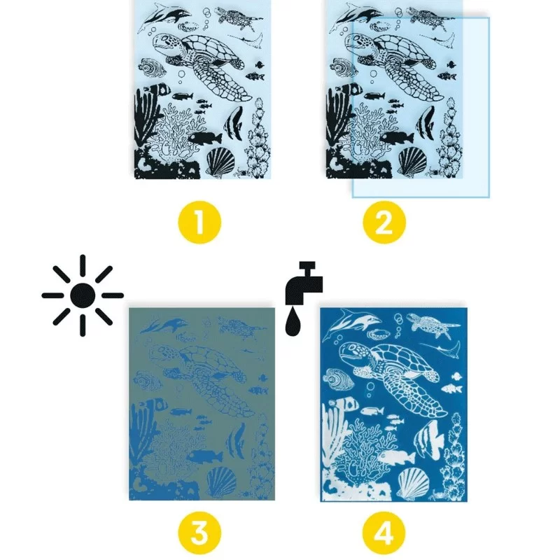CYANOTYPES OUTREMER - DJECO – Image 2