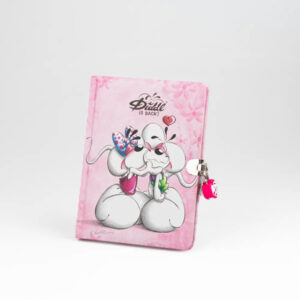 JOURNAL SECRET DIDDL