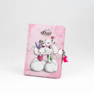 JOURNAL SECRET DIDDL