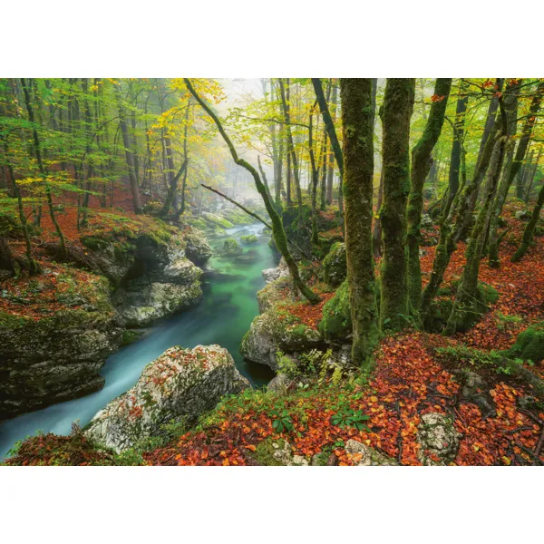 PUZZLE HEYE MAGIC FORESTS - N. ALEXANDER OTTO : PETIT RUISSEAU - 1000 PIECES – Image 2