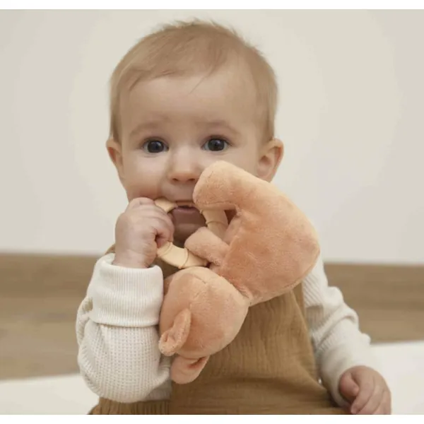 GRIGNOTI - PELUCHE ANNEAU DENTITION ECUREUIL - KALOO – Image 3