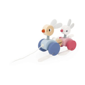 LAPINS BOIS A PROMENER ZIGOLO - JANOD