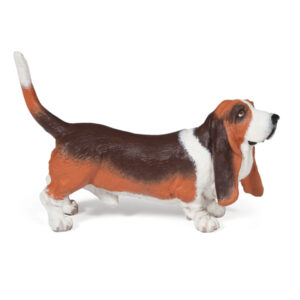 BASSET HOUND - PAPO