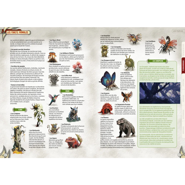 SHAAN WORLD - LIVRE DE BASE - CHRYSALIS