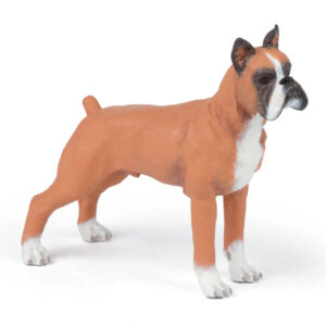 BOXER - PAPO
