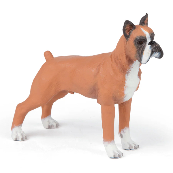 BOXER - PAPO