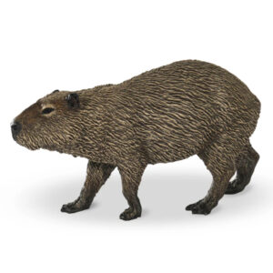 CAPYBARA - PAPO