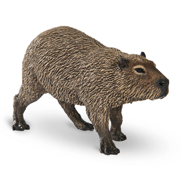 CAPYBARA - PAPO – Image 3