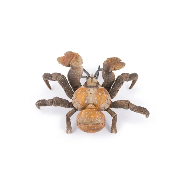CRABE DE COCOTIER - PAPO – Image 4