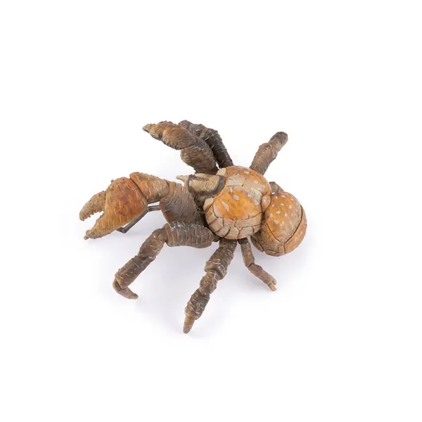 CRABE DE COCOTIER - PAPO – Image 2